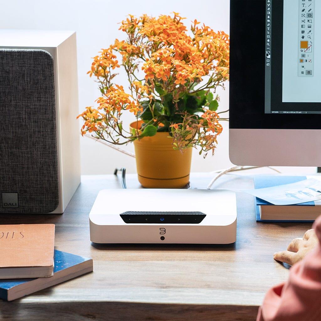 Bluesound Powernode Edge Streamer and Amplifier - Image 8