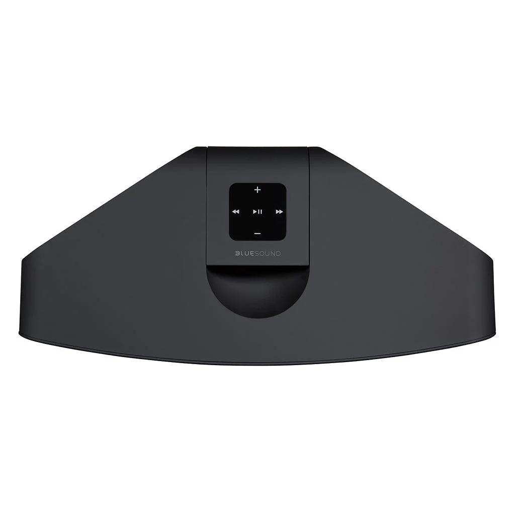 Bluesound Pulse 2i Wireless Multi-Room Streaming Speaker - Image 4