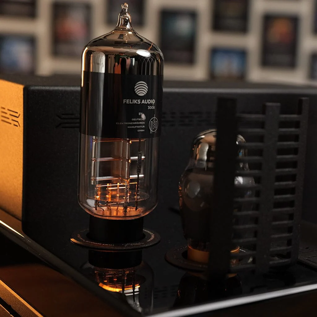 Feliks Audio Envy 25th Anniversary Edition - Image 5