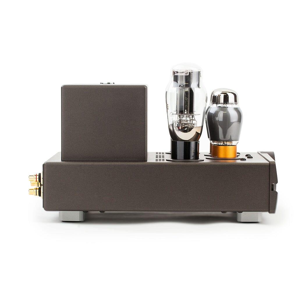 Feliks Audio Euforia EVO Headphone Tube Amplifier - Image 4
