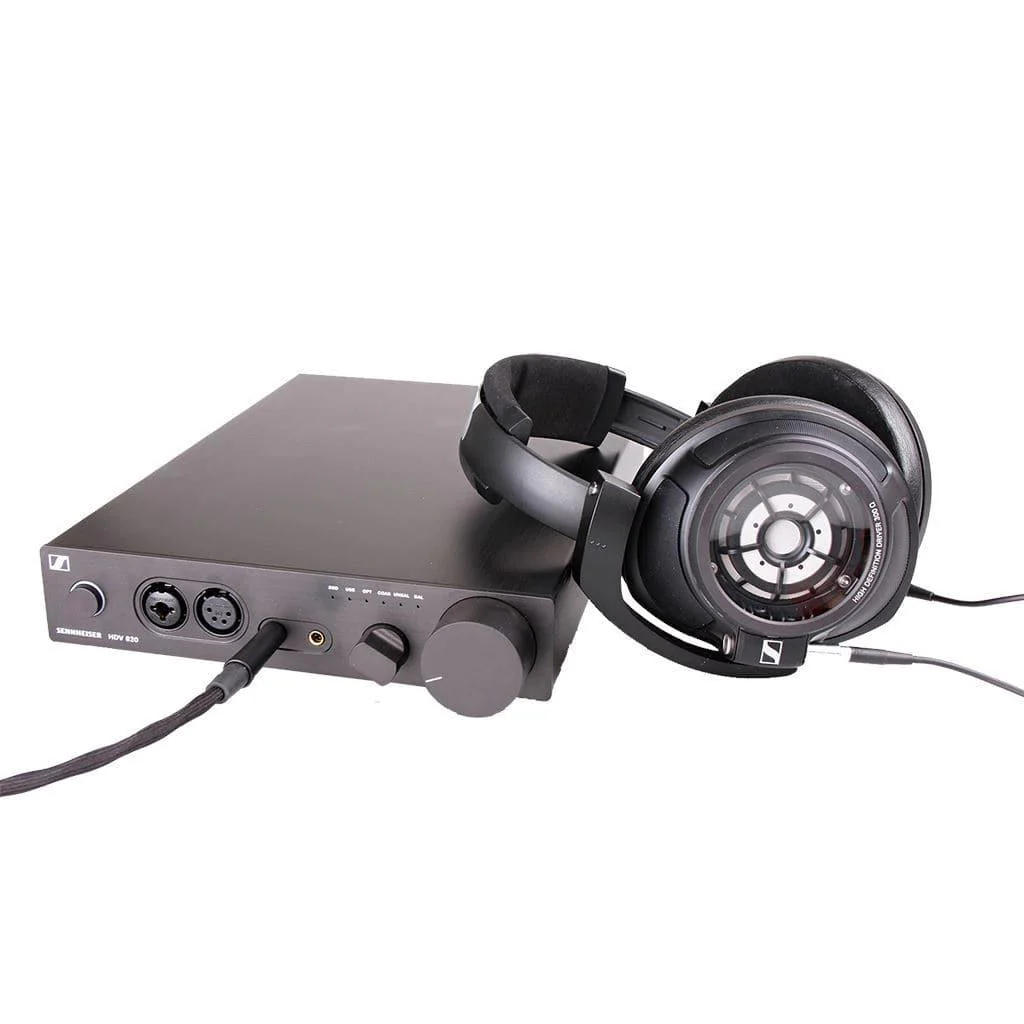 Sennheiser HDV 820 Headphone Amplifier - Image 5