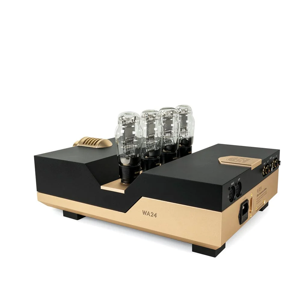 Woo Audio WA24 Headphone Tube Amplifier - 20th Anniversary Edition - Image 5